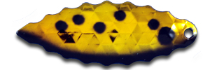 B5C-113  3 PK/#113 GOLDEN SHAD